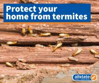 Allstate Pest Control image 10